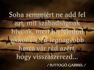 10344936_10200967289142971_560037408_n