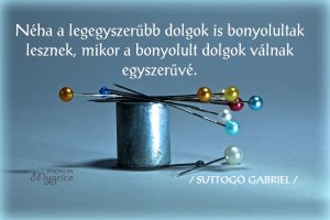 10404744_10200997039206704_1627295622_o