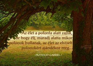 10425580_10201029568059905_1223150914_n