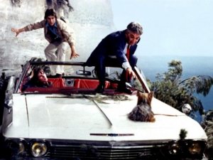 Fennakadva-a-fan--49298