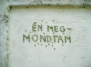 falra_hányt_borsó_3