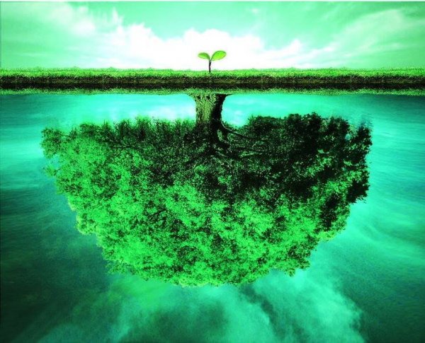 10576916_796524653702758_53199282290294033_n